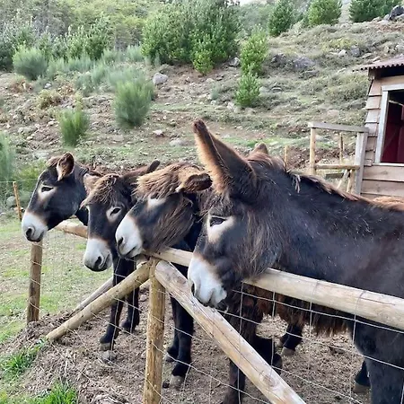 Mountain Eco Shelter 8 *