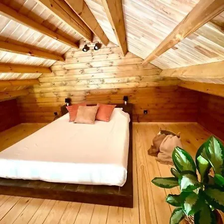 Mountain Eco Shelter 8 Funchal (Madeira)