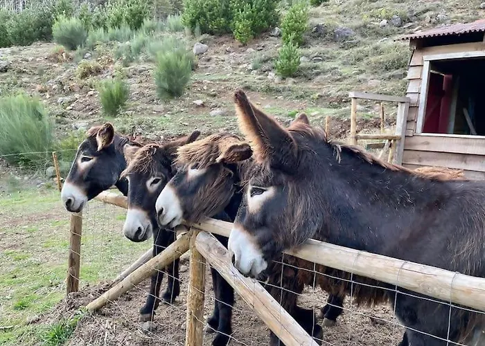 Mountain Eco Shelter 8 *